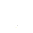 56bra